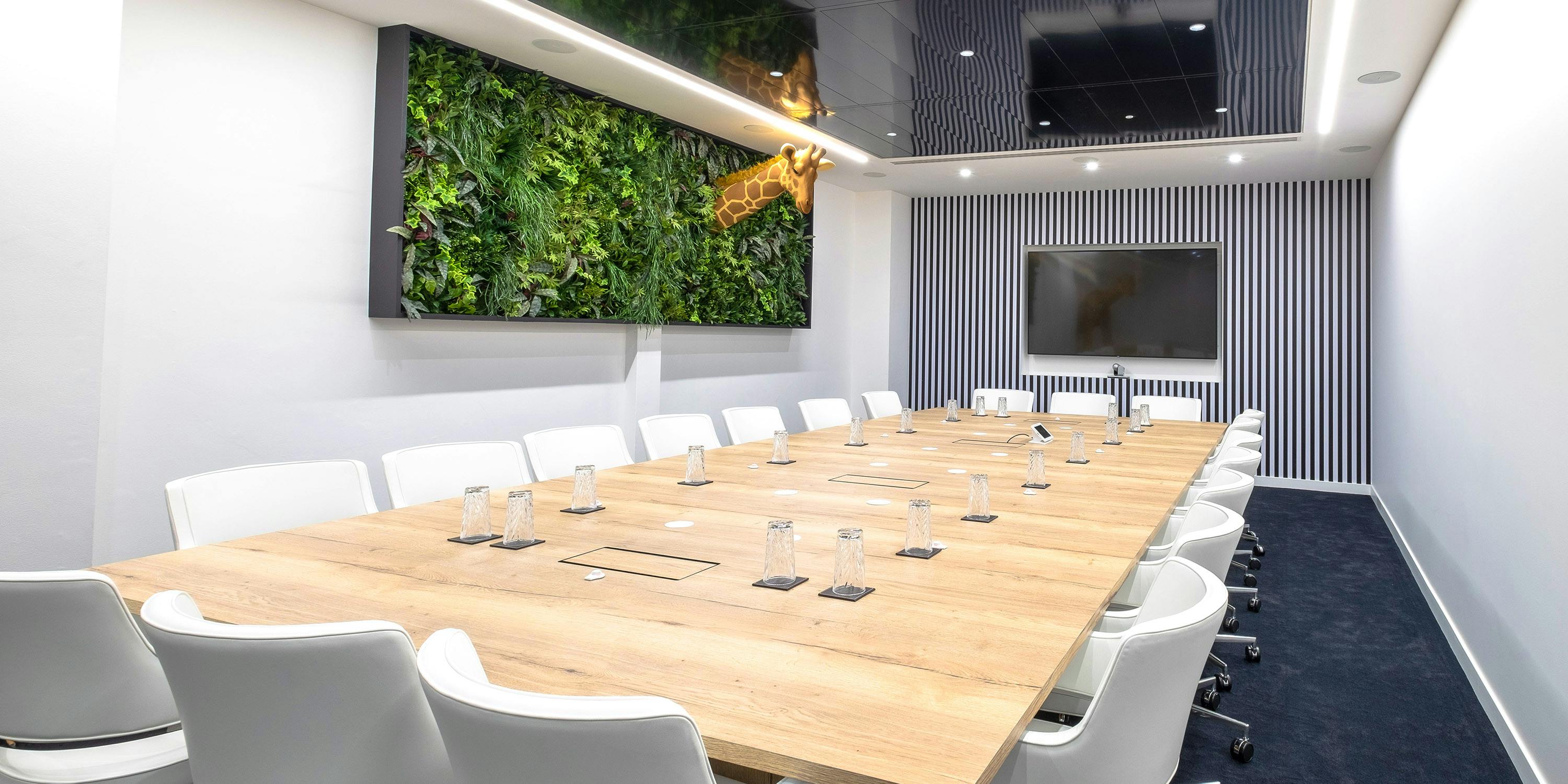 Safari Meeting rooms